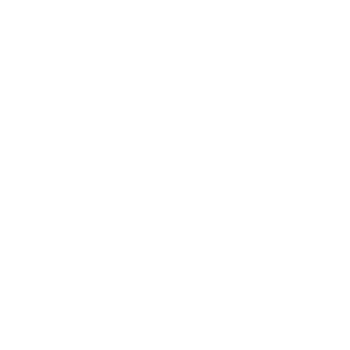Wash icon